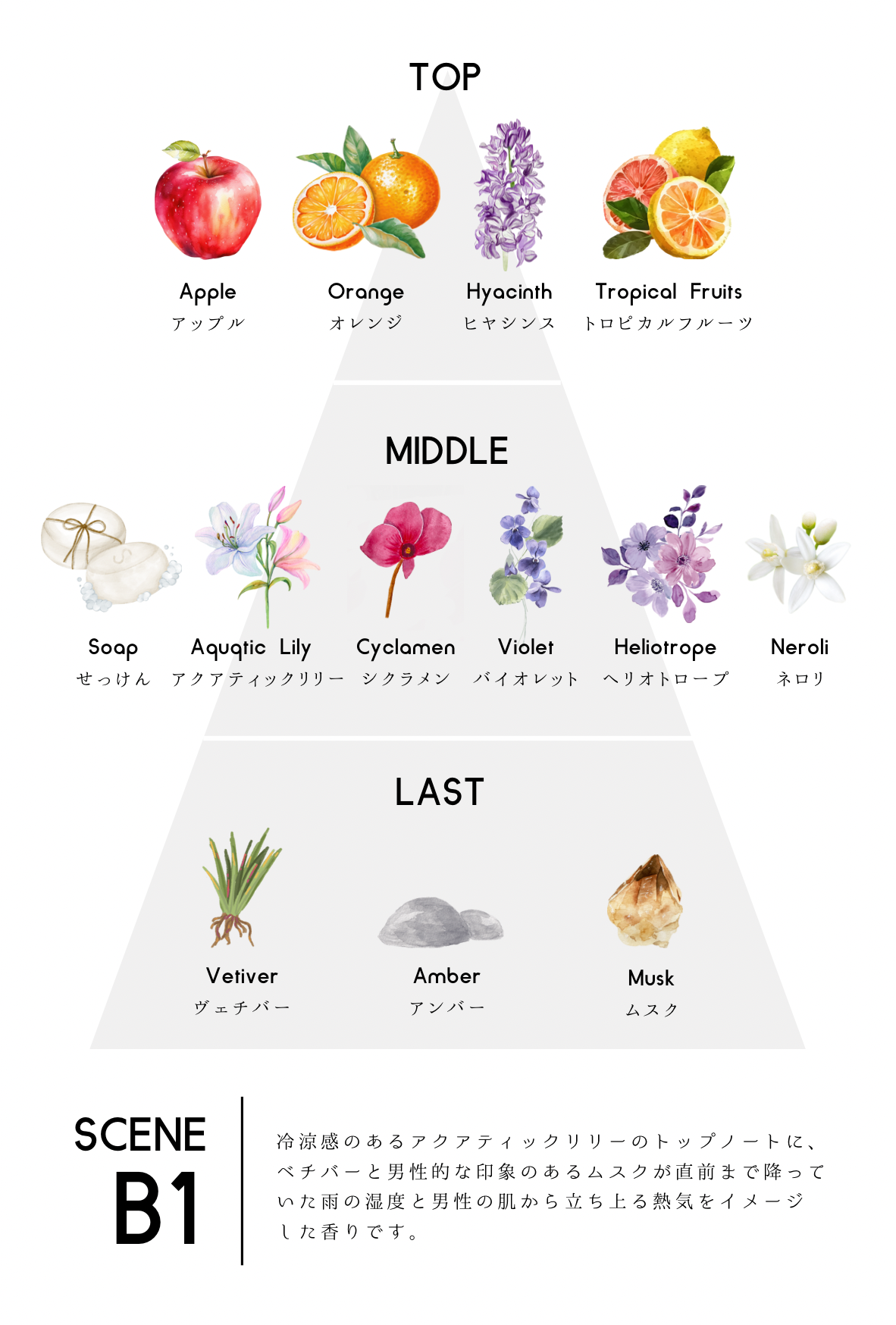 【香水】scene B1 EDP【会員証付】