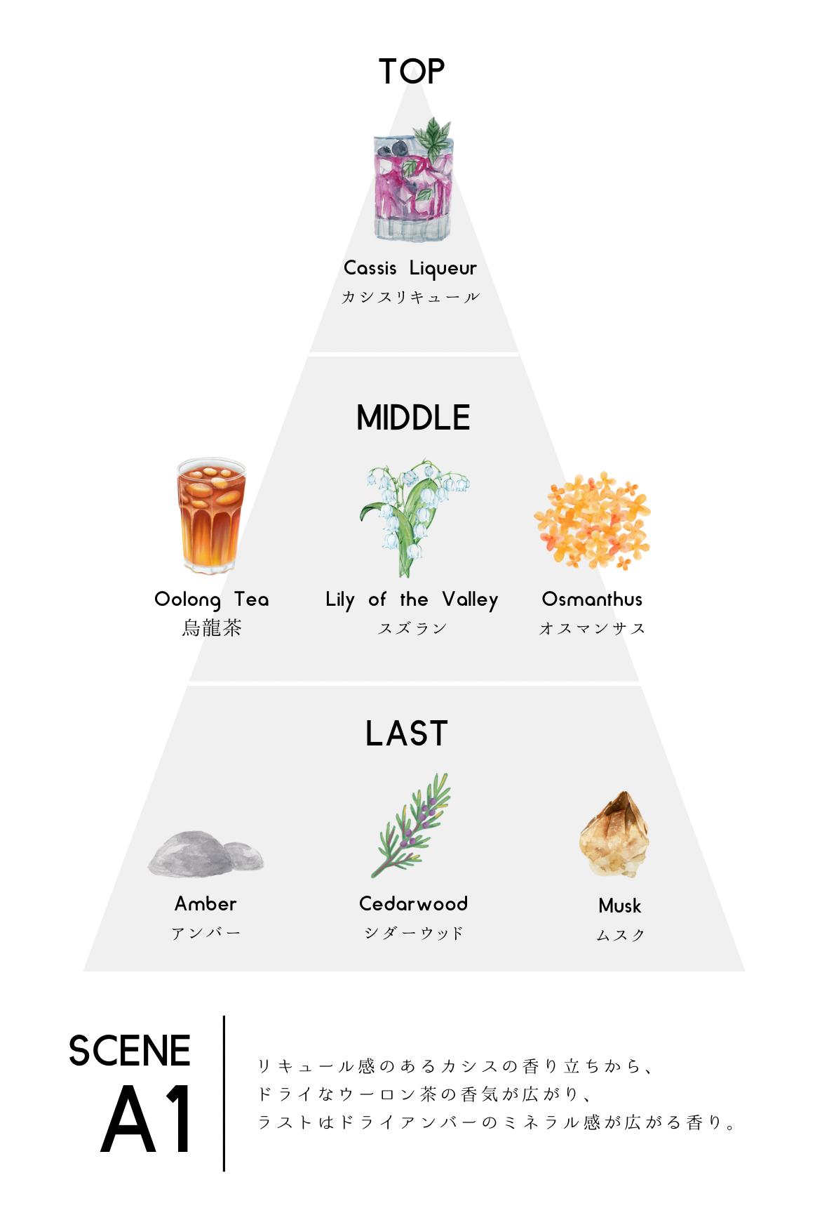 【香水】scene A1 EDP【会員証付】