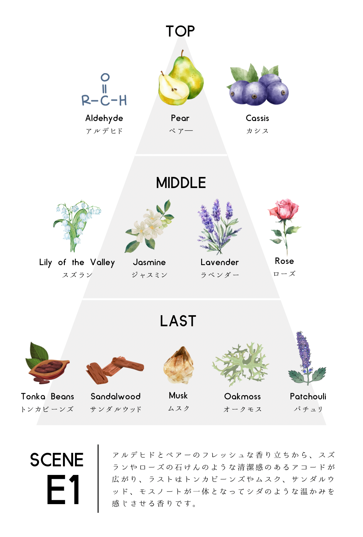 【香水】scene E1 EDP【会員証付】
