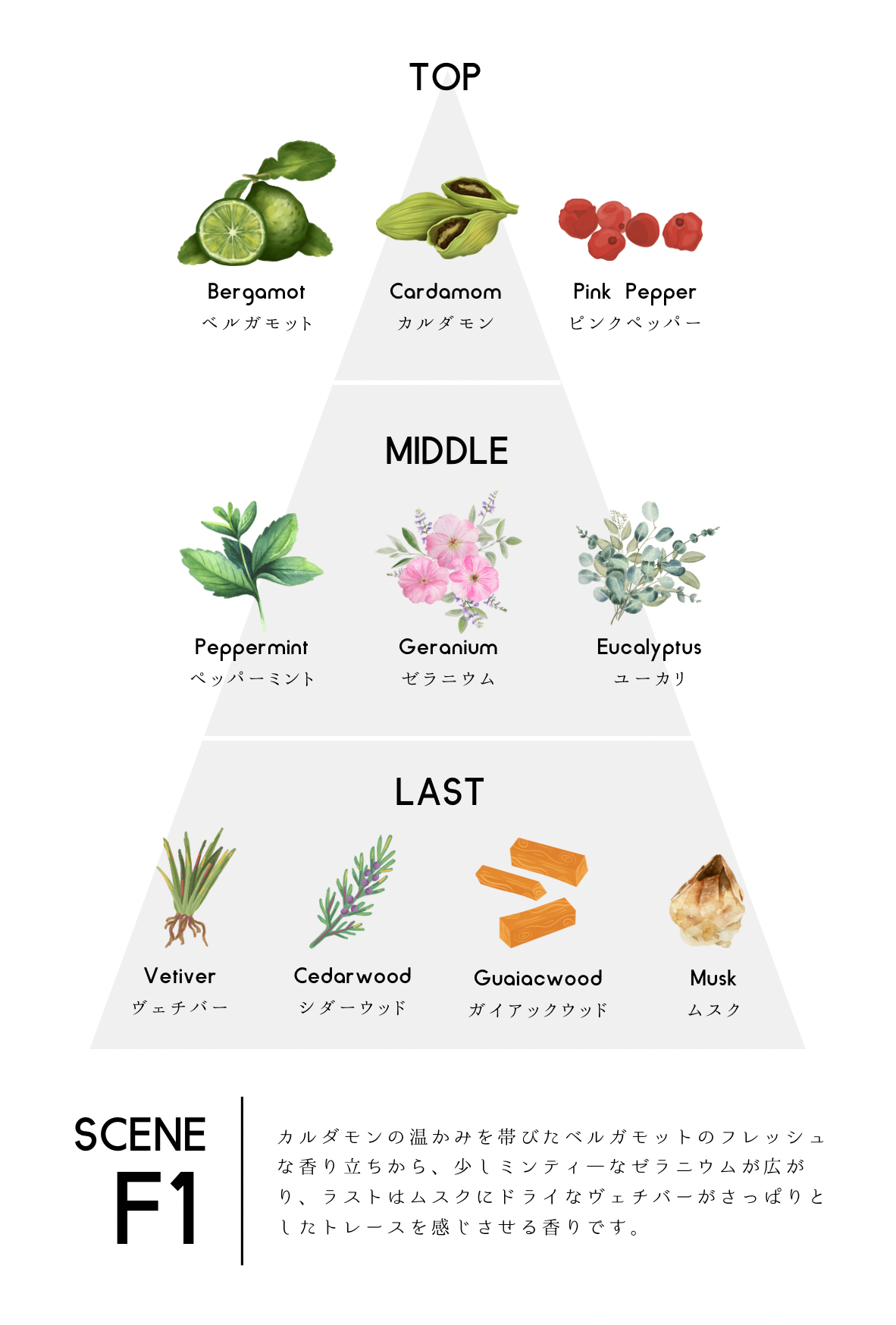 【香水】scene F1 EDP【会員証付】