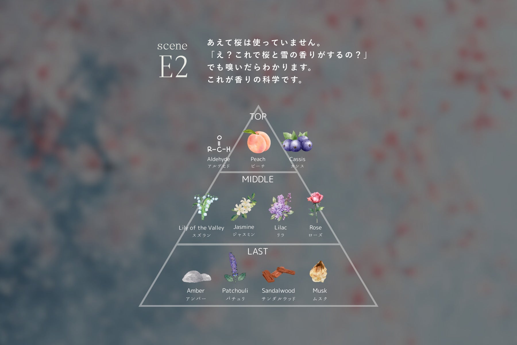scene E2 EDP特設ページ – zzzgoo公式オンラインストア