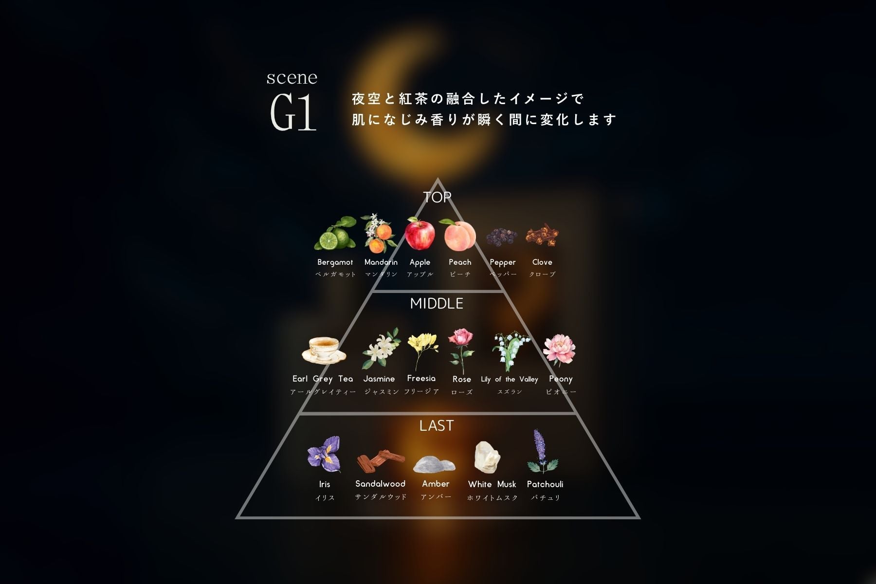 グーグーシーンG１ 香水】scene G1 EDP【会員証付】 – zzzgoo公式オンラインストア